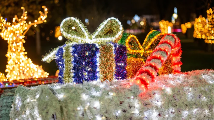 Festive Christmas lights reindeer, parcel and candycane
